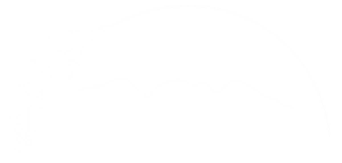 Valley_Insurance_white