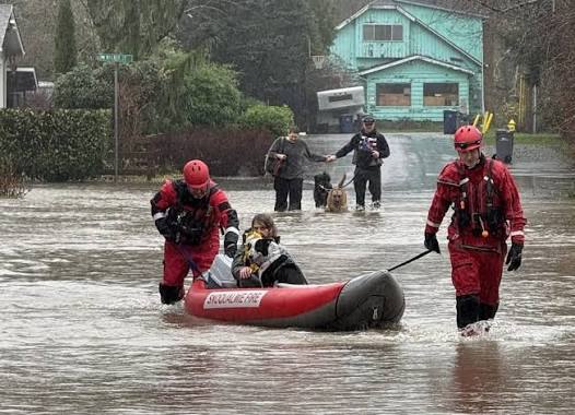 rescue